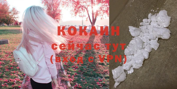 хмурый Галич