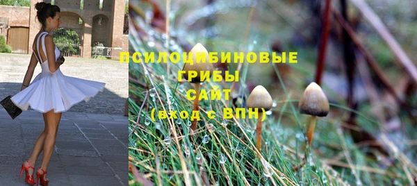 трава Козловка