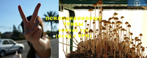 шишки Козельск
