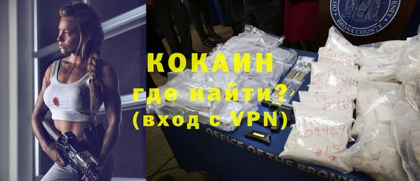 индика Гатчина