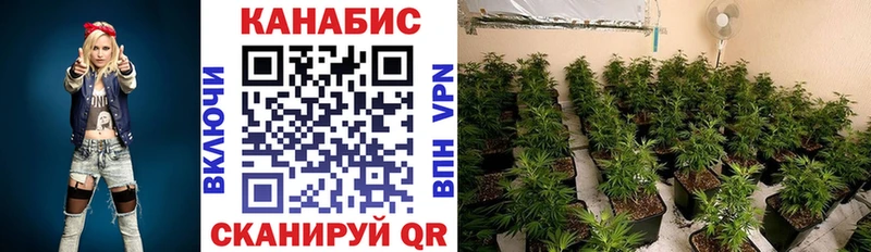дарнет шоп  Княгинино  Бошки Шишки планчик 